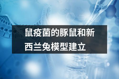 鼠疫菌的豚鼠和新西兰兔模型建立 