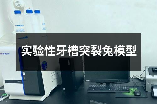 实验性牙槽突裂兔模型 